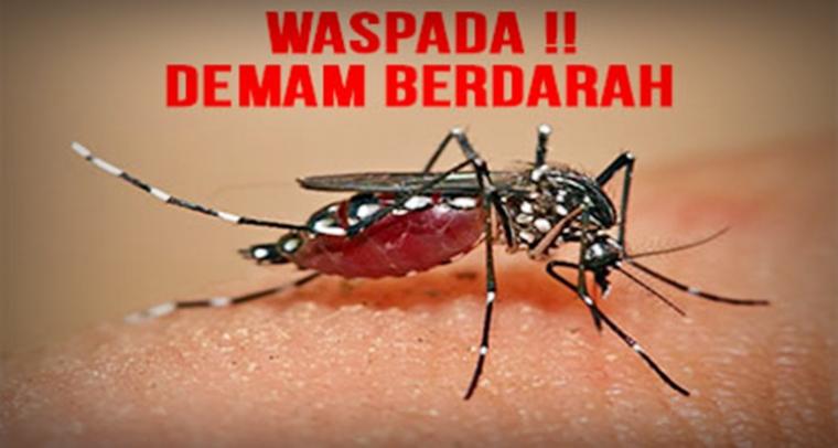 Ada Peningkatan Suspect DBD, Dinas Kesehatan Purwakarta Minta Warga Proaktif Lingkungan