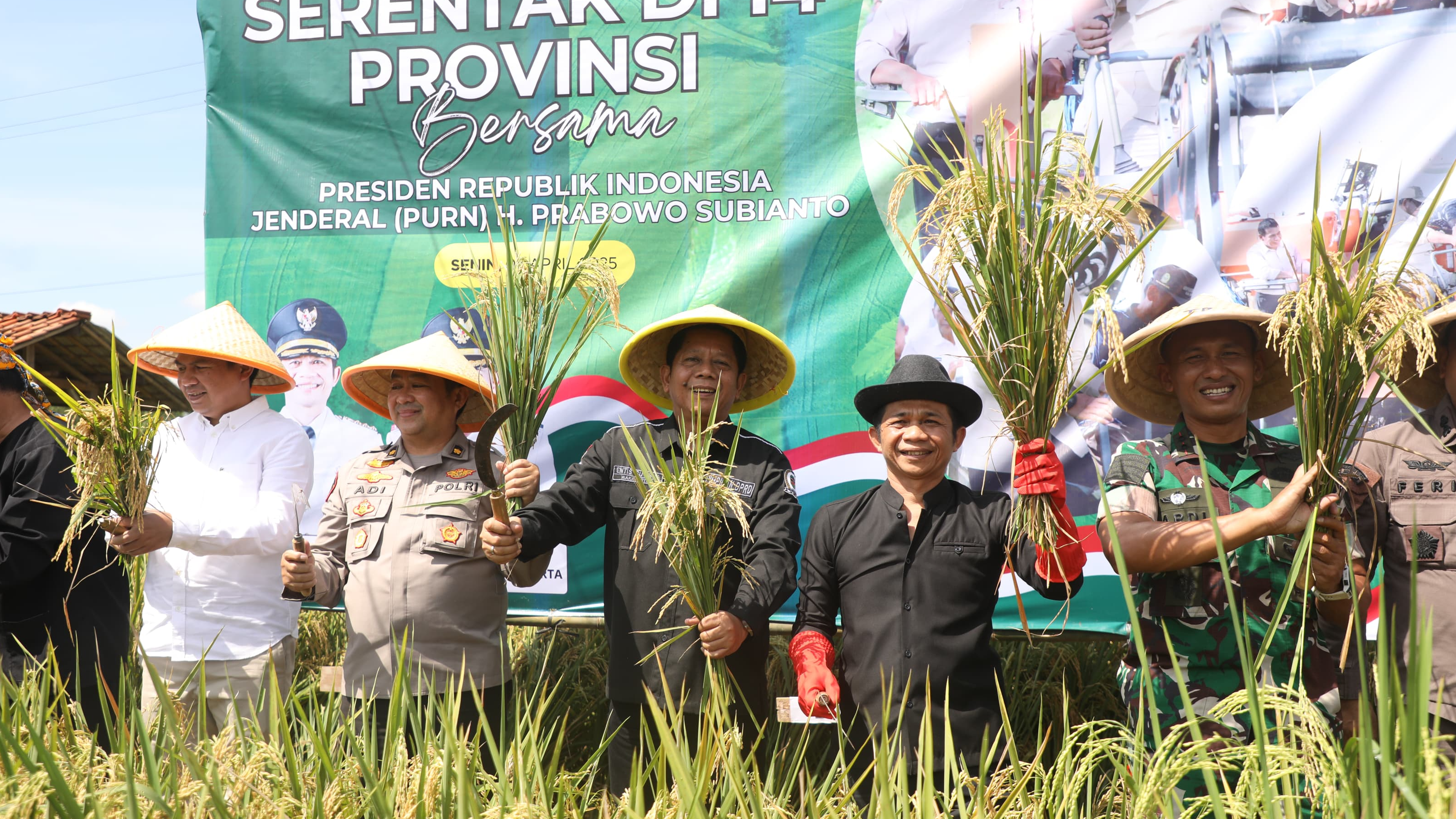 Om Zein Bergabung dalam Panen Raya Padi Nasional