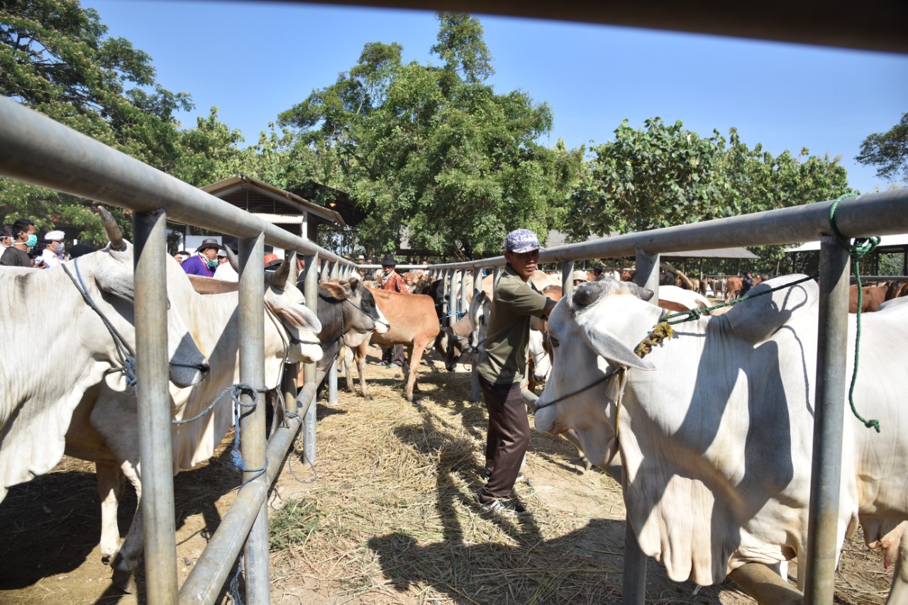 Ciwangi jadi Pusat Kesehatan Hewan (PUSKEWAN)