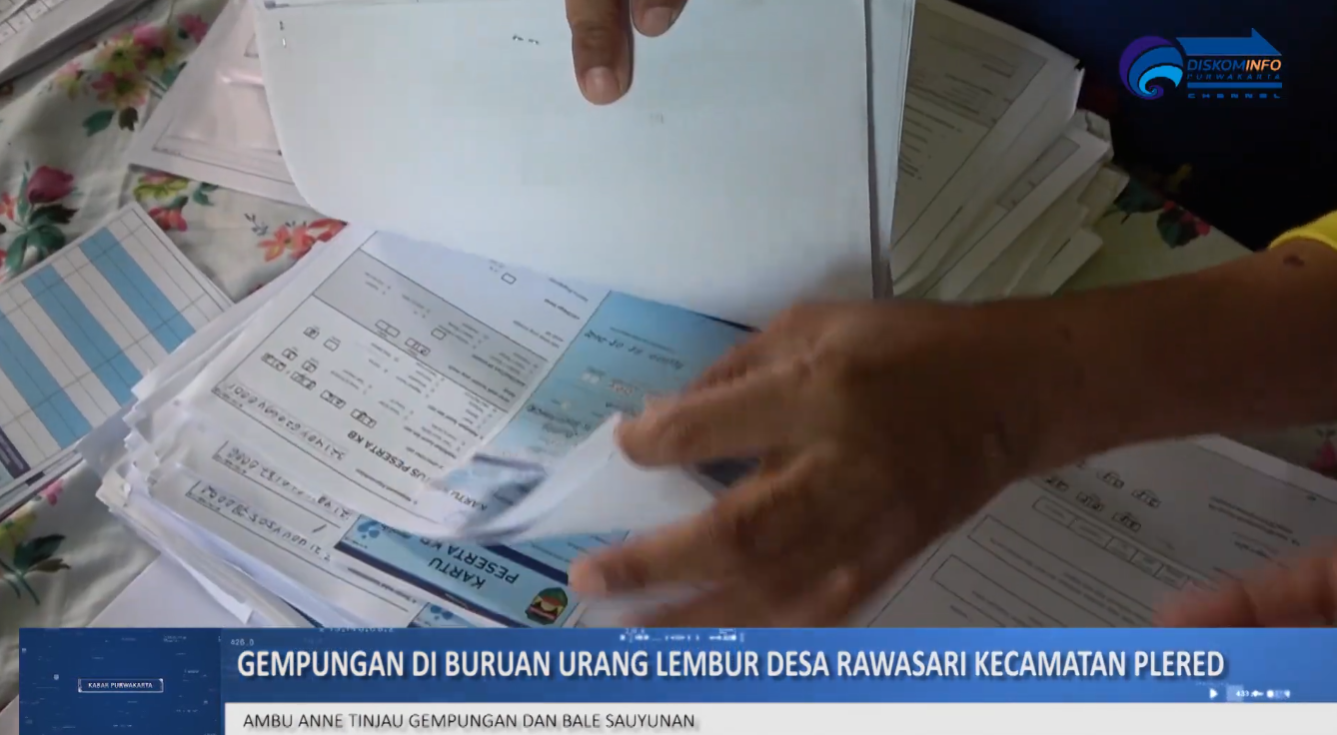 GEMPUNGAN DI BURUAN URANG LEMBUR DESA RAWASARI KECAMATAN PLERED