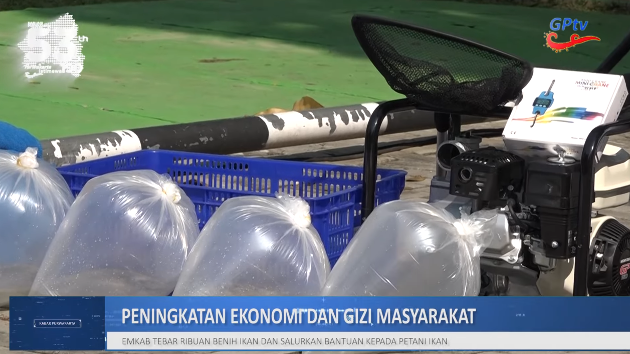 PEMKAB PURWAKARTA TEBAR JUTAAN BENIH IKAN HINGGA SALURKAN BANTUAN KEPADA PETANI IKAN.