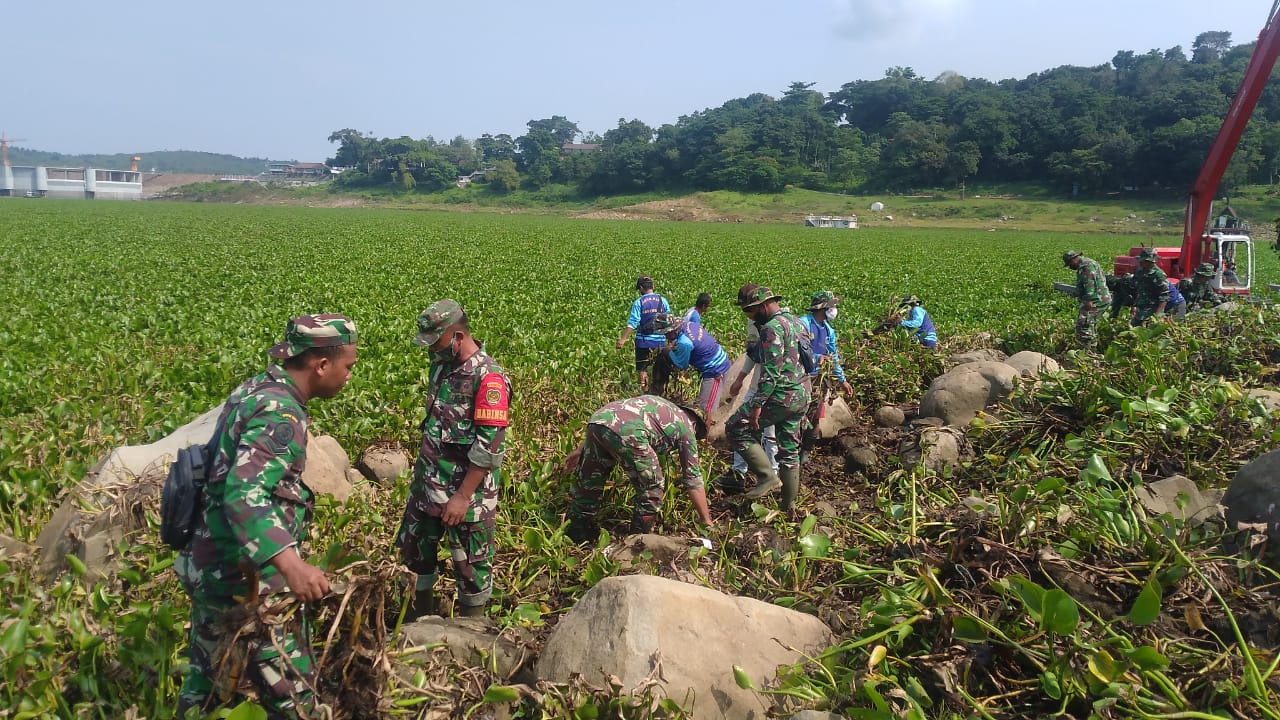 Satgas Citarum Harum Gempur Eceng Gondong di Perairan Waduk Jatiluhur