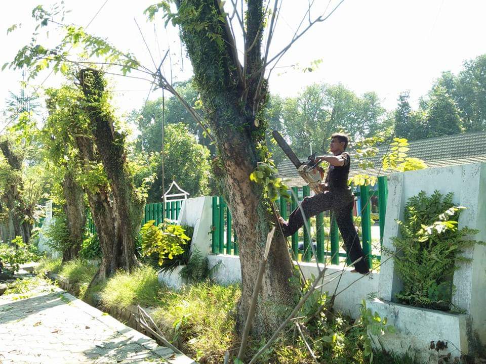 Musim Penghujan, Distarkim Purwakarta Siapkan Tim Reaksi Cepat Penebang Pohon