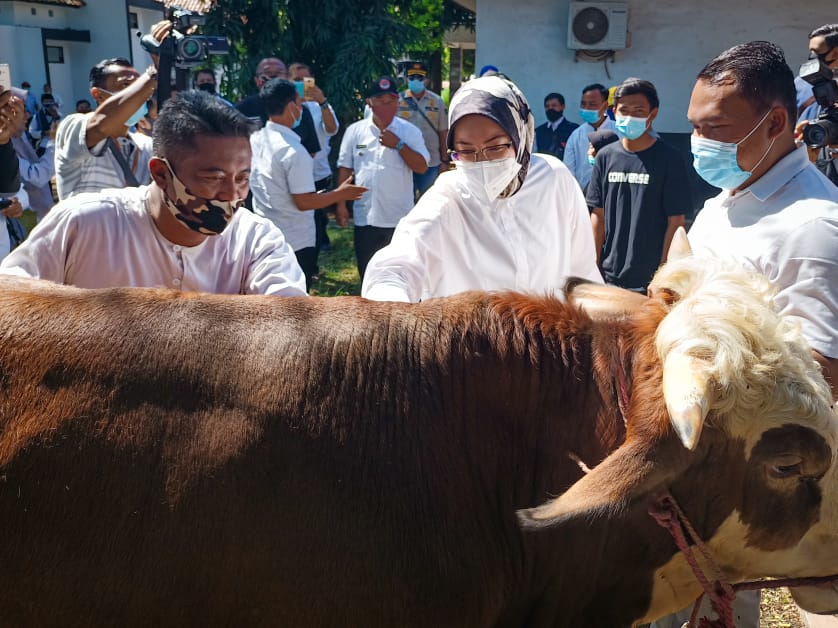 Pulihkan Ekonomi, Pemkab Purwakarta Genjot Sejumlah Program