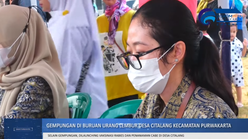 GEMPUNGAN DI BURUAN URANG LEMBUR DESA CITALANG KECAMATAN PURWAKARTA